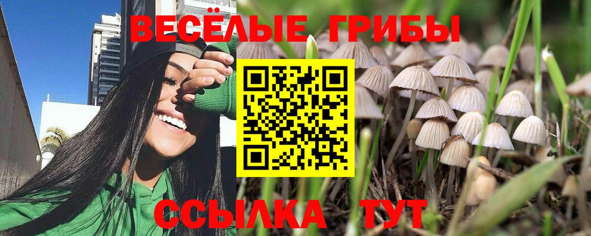 Псилоцибиновые грибы Magic Shrooms  Вход с VPN  Оренбург 